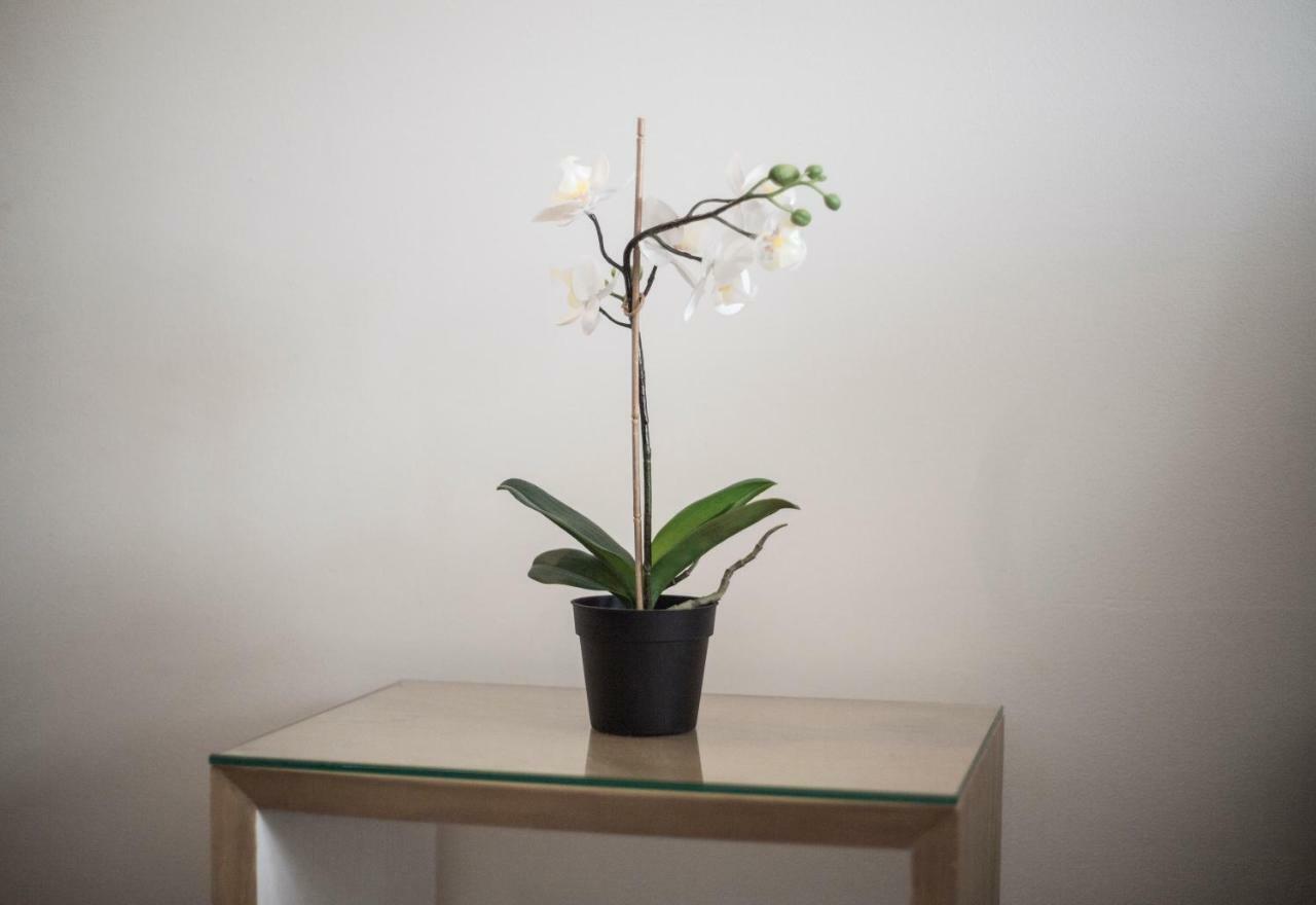 Elegant Retreat Business District Bernabeu Apartment มาดริด ภายนอก รูปภาพ